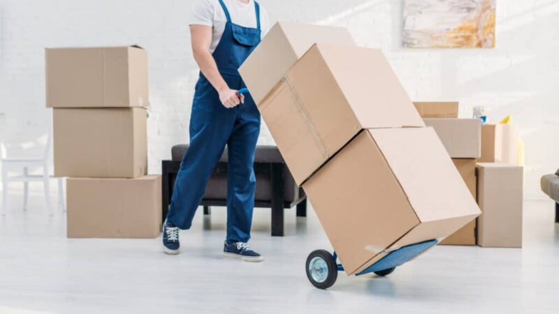 Exploring Insurance Options for Commercial Moves