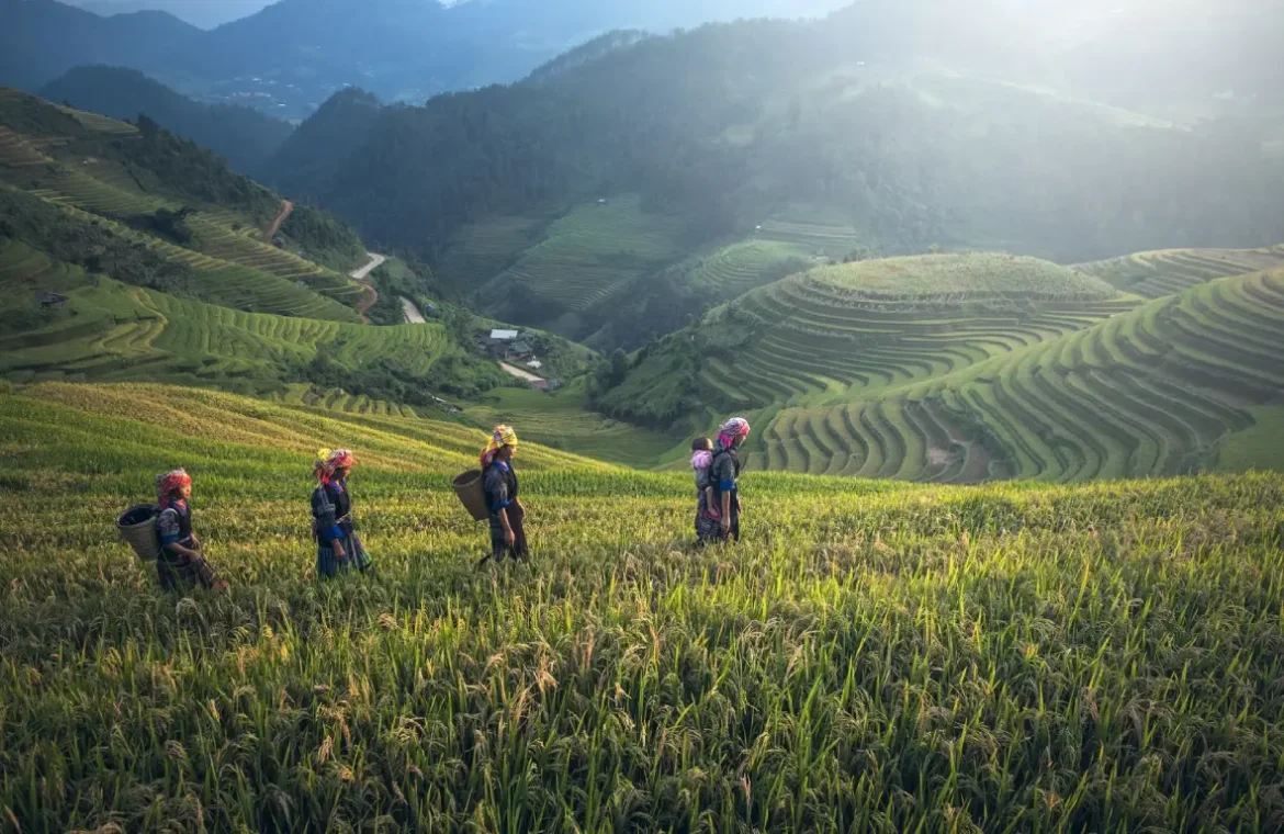 Traveling on a Budget: How I Explored Bali Without Breaking the Bank