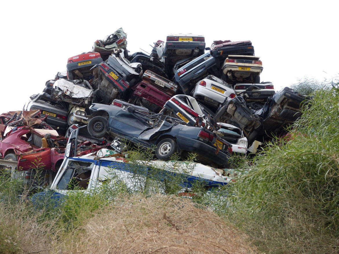 How to Reduce Your Carbon Footprint in Everyday Life?