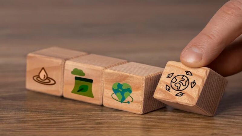 Carbon Credit Trading: A Beginner’s Guide to the Market