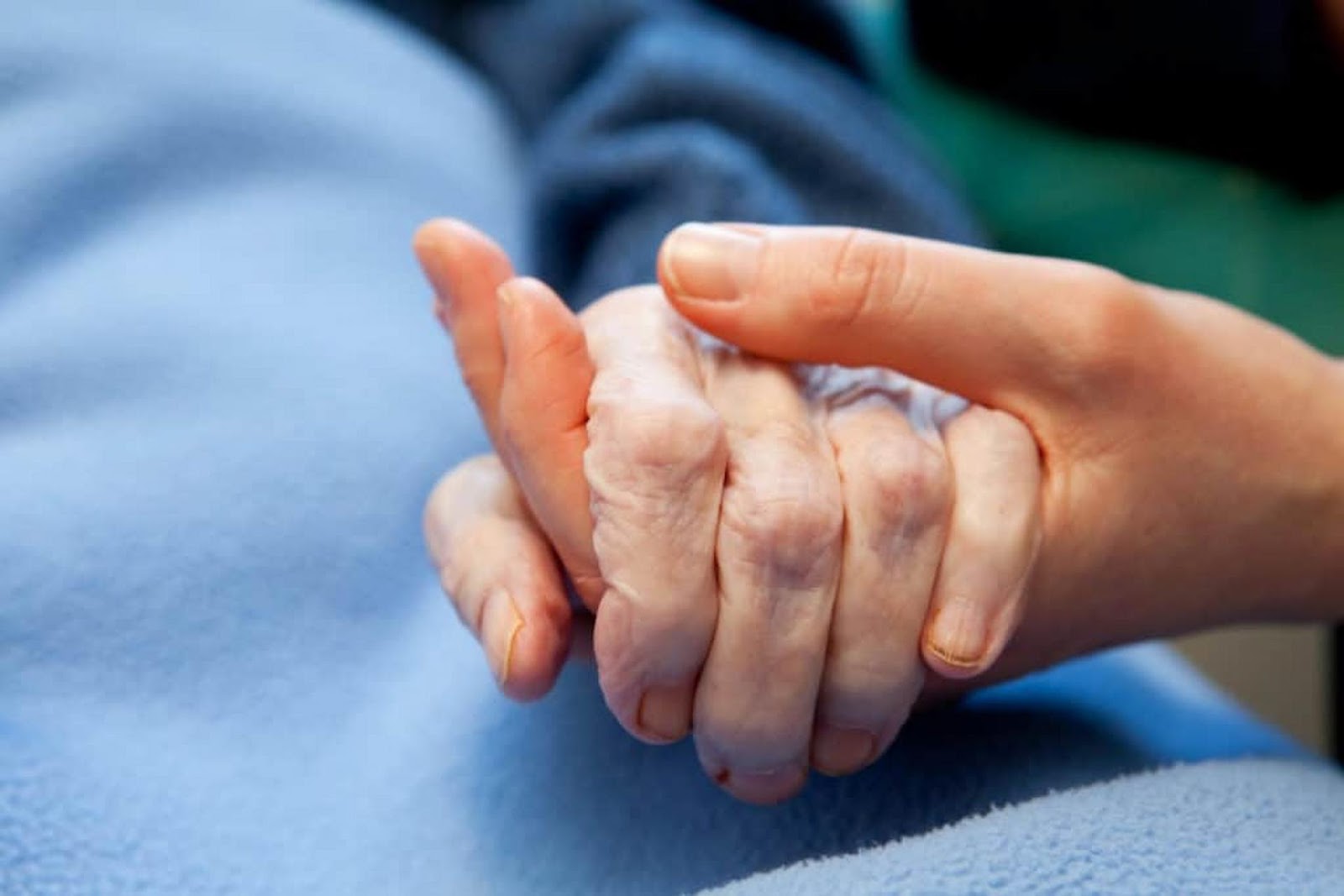 Live-in Carer Cost Guide: Factors That Influence Pricing
