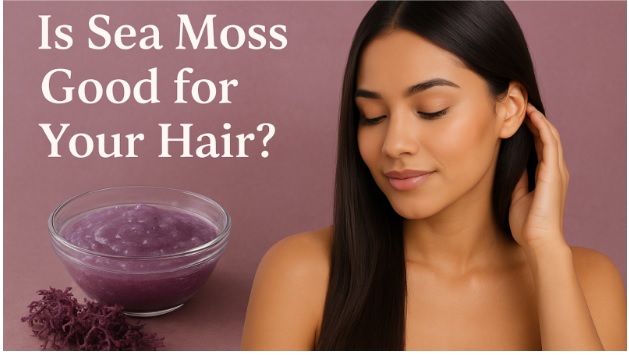 Is Sea Moss Good for Your Hair?